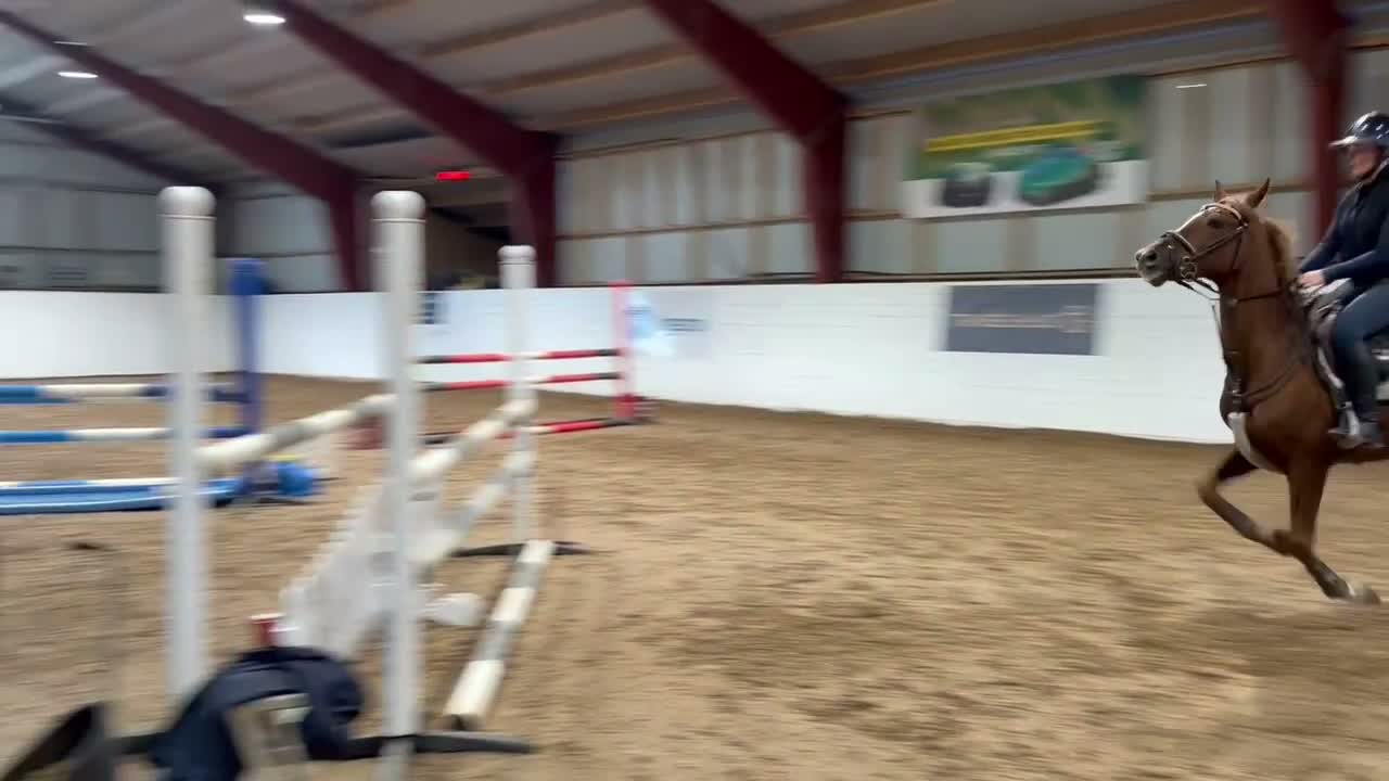 Hoppning hästar till salu: SM Ponny!!🌟 - Video 4