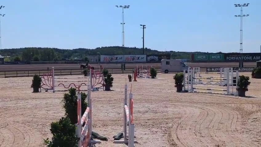 Hoppning hästar till salu: Hopphäst  i Landvetter - Video 3