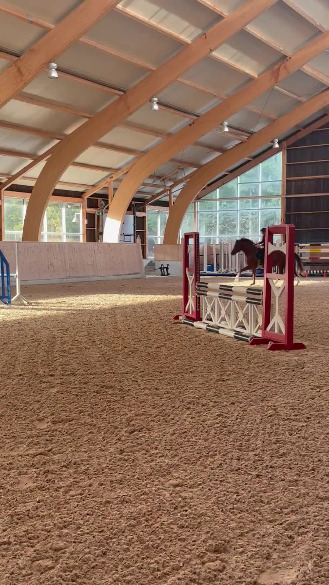 Hoppning hästar till salu: 9-årigt sto e.Heartbeat-Casall i Eslöv - Video 2