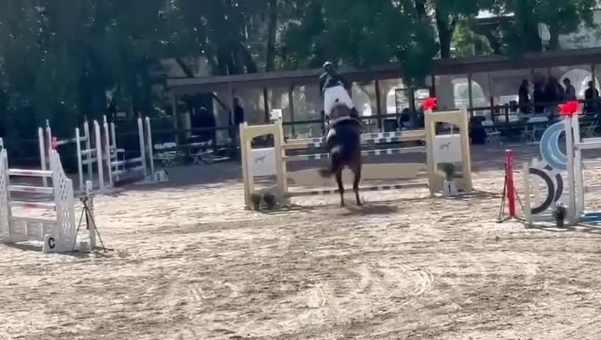 Hoppning hästar till salu: Trevlig häst för de stora klasserna - Video 1