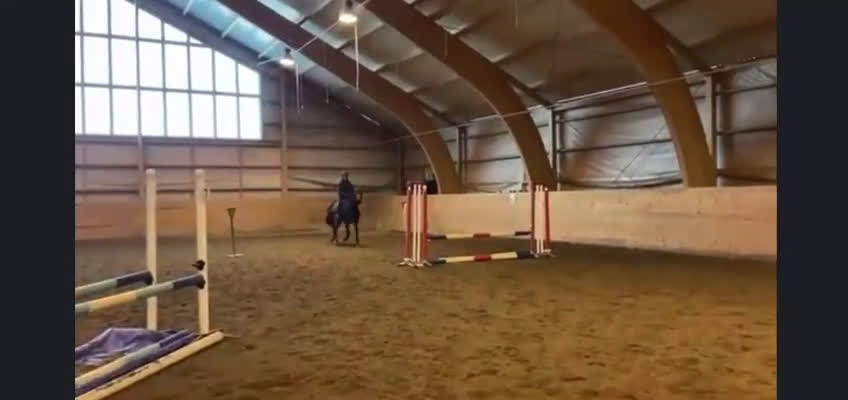 Avel hästar till salu: Sto för avel i Köping - Video 1