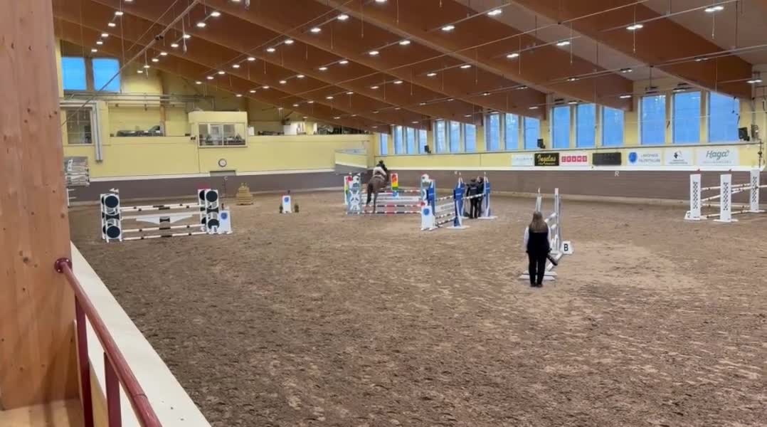 Hoppning hästar till salu: Trevligt hoppsto  - Video 4