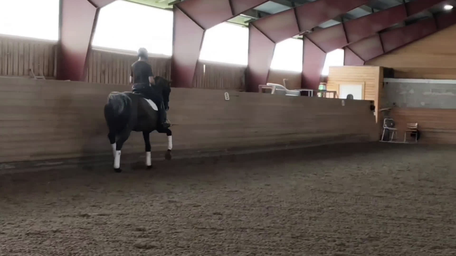 Dressyr hästar till salu: YR-häst men även perfekt dam-häst!! i Märsta - Video 1