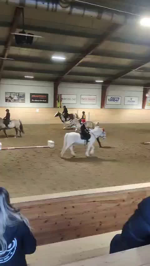 Allround hästar sökes: Foderhäst !sökes! - Video 2