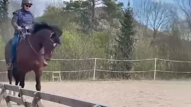 Dressyr hästar till salu: Vacker läromästare Kraftskapande/akademiskt - Video 2
