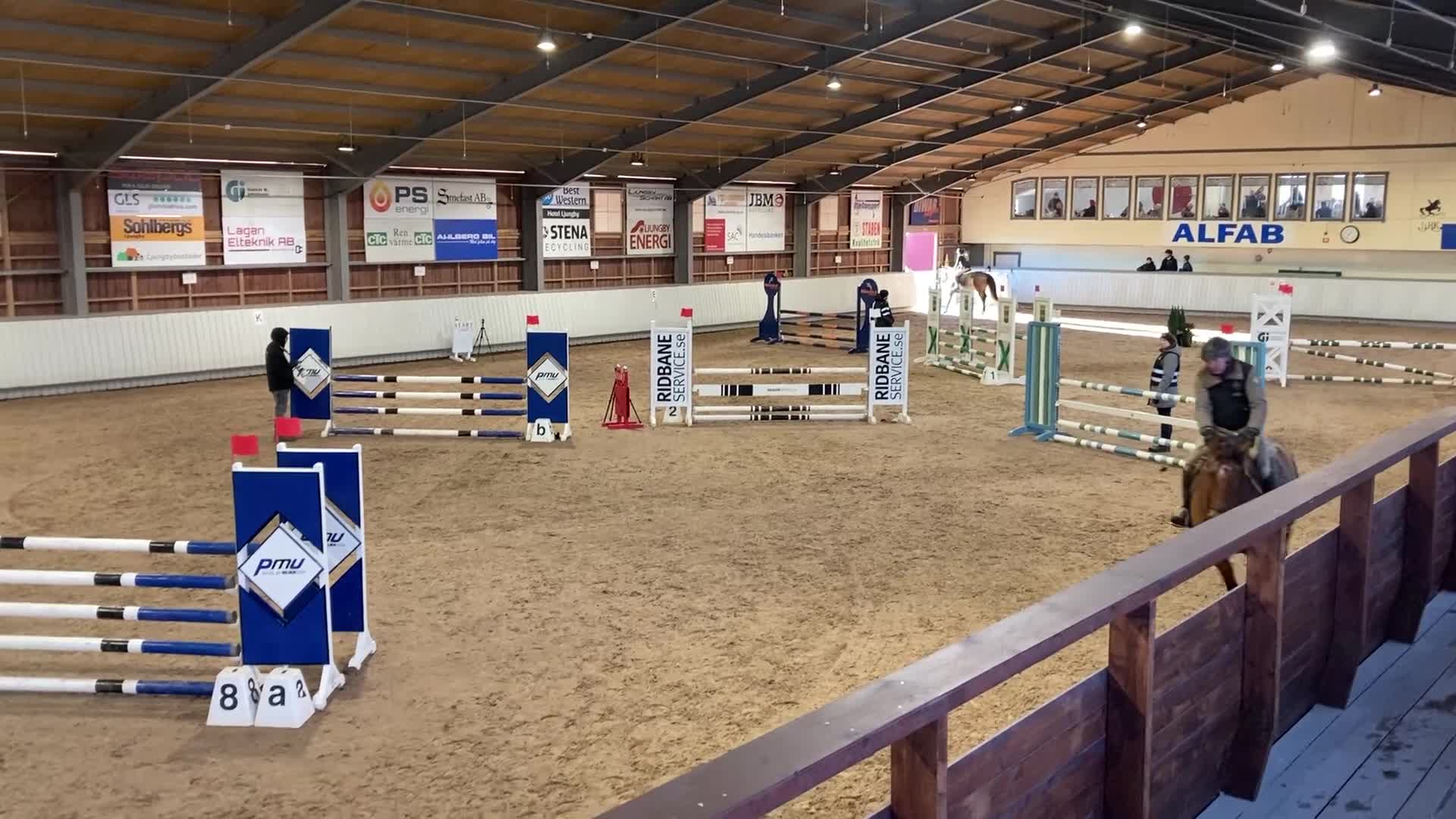Hoppning hästar till salu: 🐴 Ray of Light – Lovande 6-årigt hoppsto (1,10 m) - Video 3