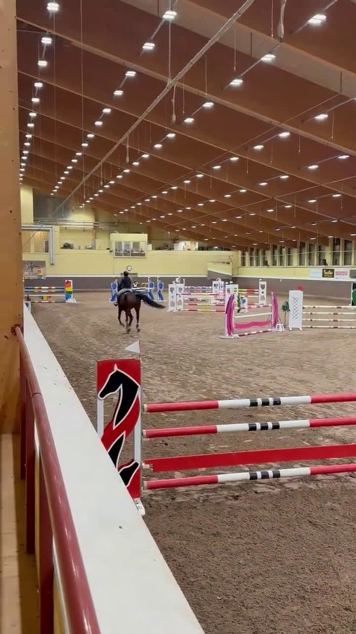 Hoppning hästar till salu: Valack e. Grand Slam - Douglas  i Västervik - Video 2