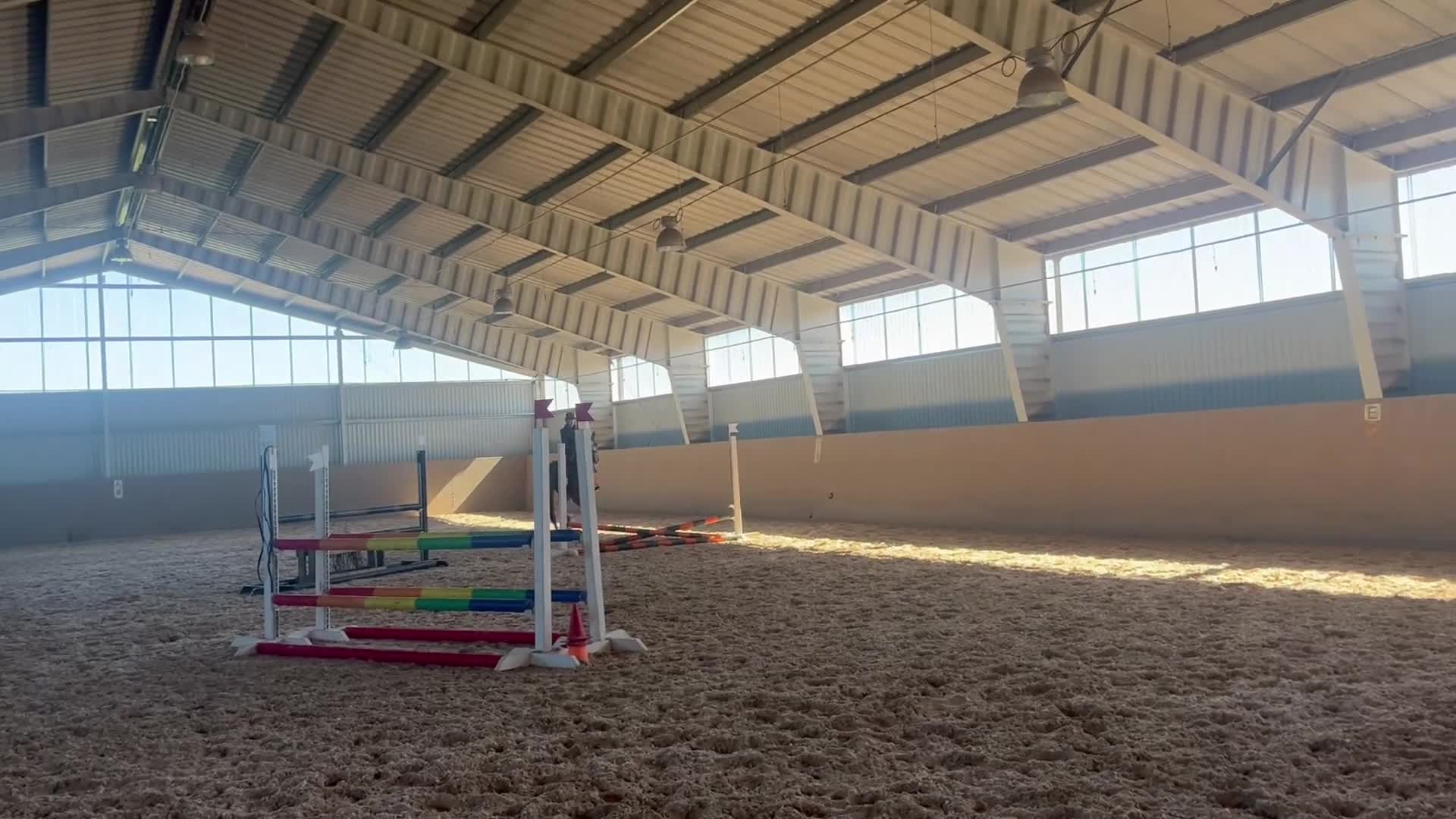 Hoppning hästar till salu: Sto med potential - Video 5