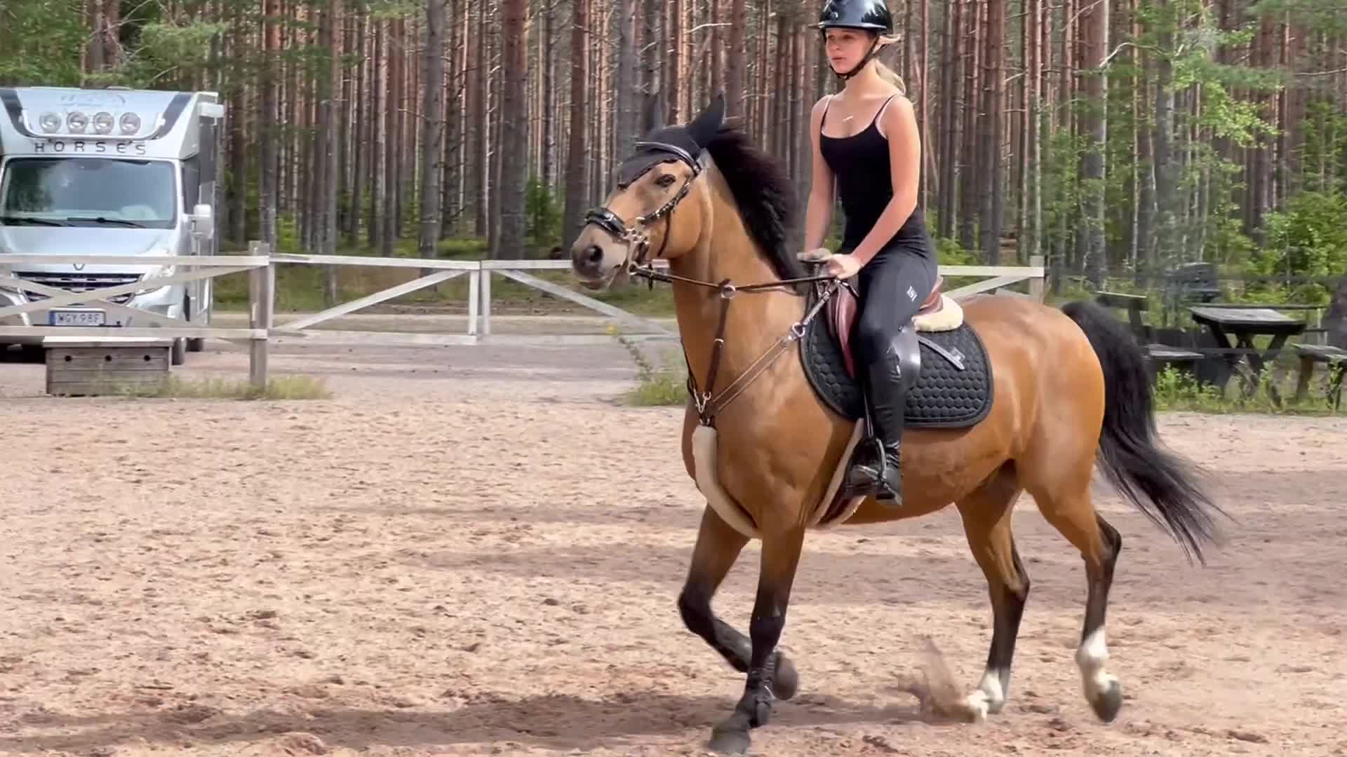 Allround hästar till salu: Maxad C-ponny söker bästa kompis - Video 3