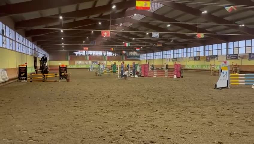 Allround hästar till salu: Irländsk sporthäst - Video 1