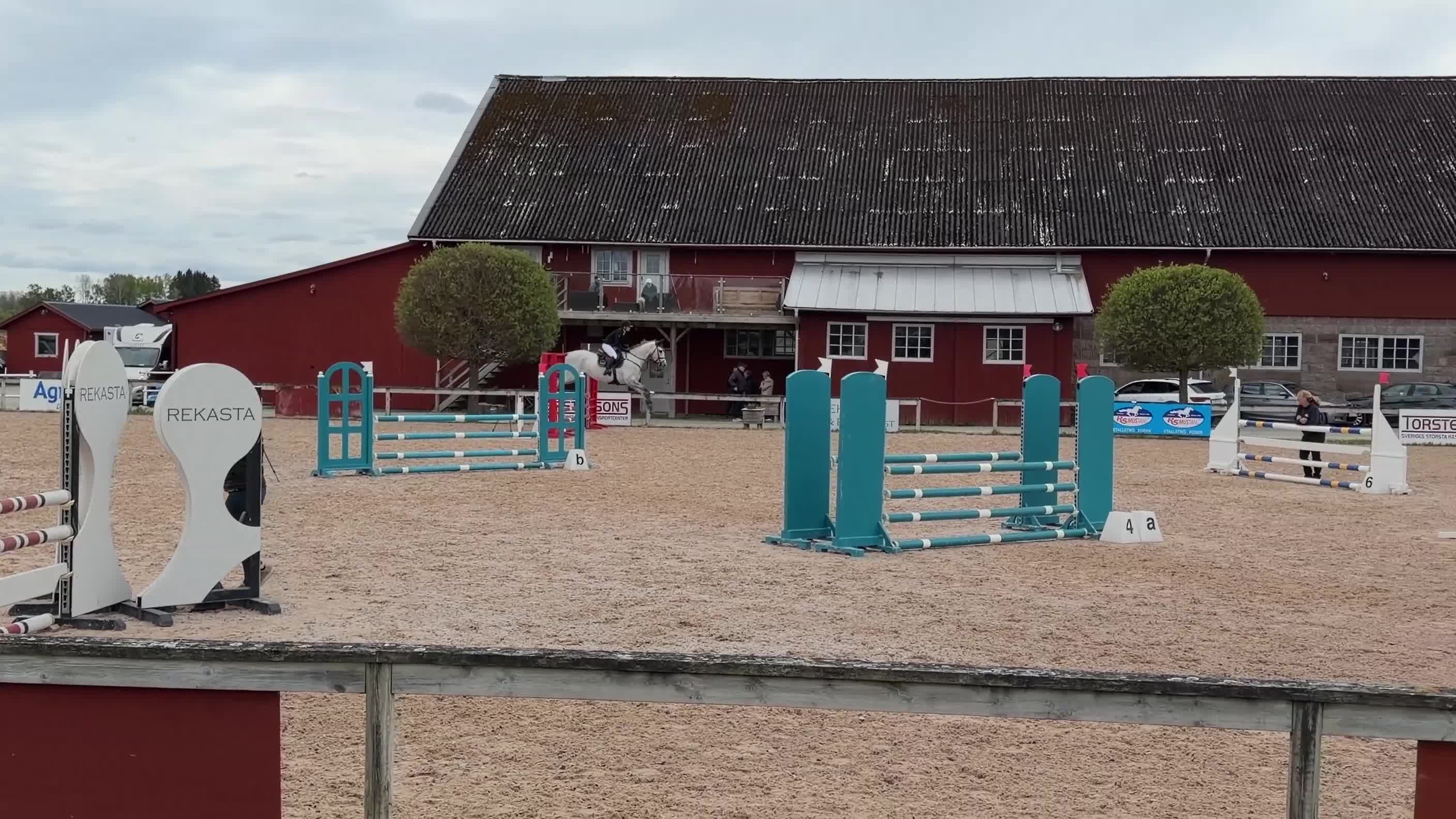 Hoppning hästar till salu: Fin unghäst! - Video 1