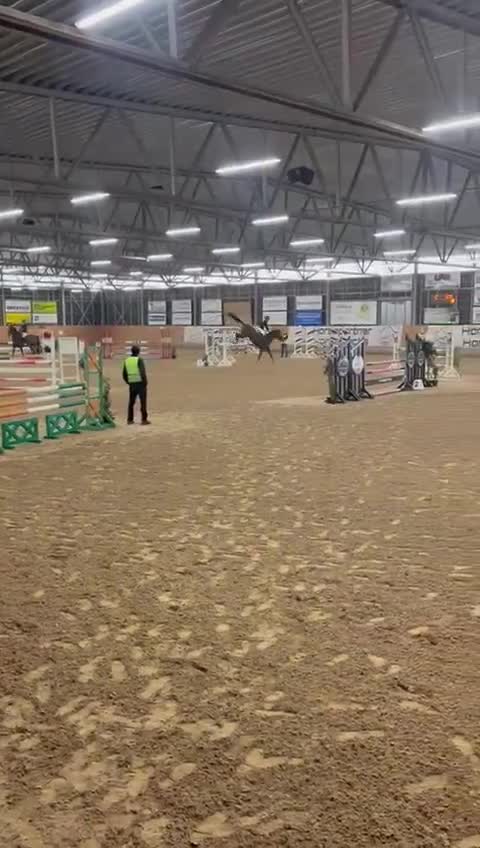 Hoppning hästar till salu: 🌟 SWB HOPPHÄST 🌟 - Video 3