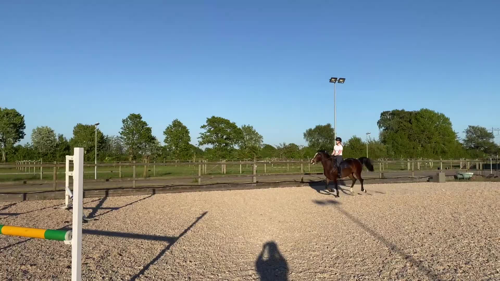 Allround hästar till salu: Charmigt D-ponny Sto i Helsingborg - Video 2