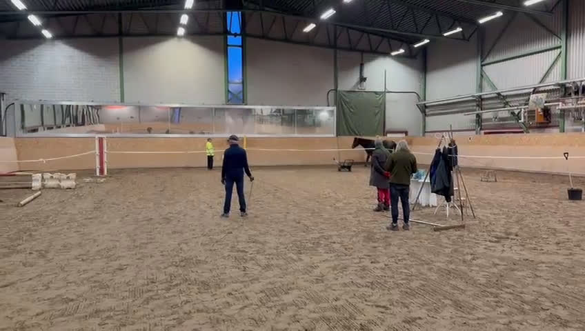 Hoppning hästar till salu: *Resarverad *uppdaterad* 3 årig valack i Båstad - Video 3