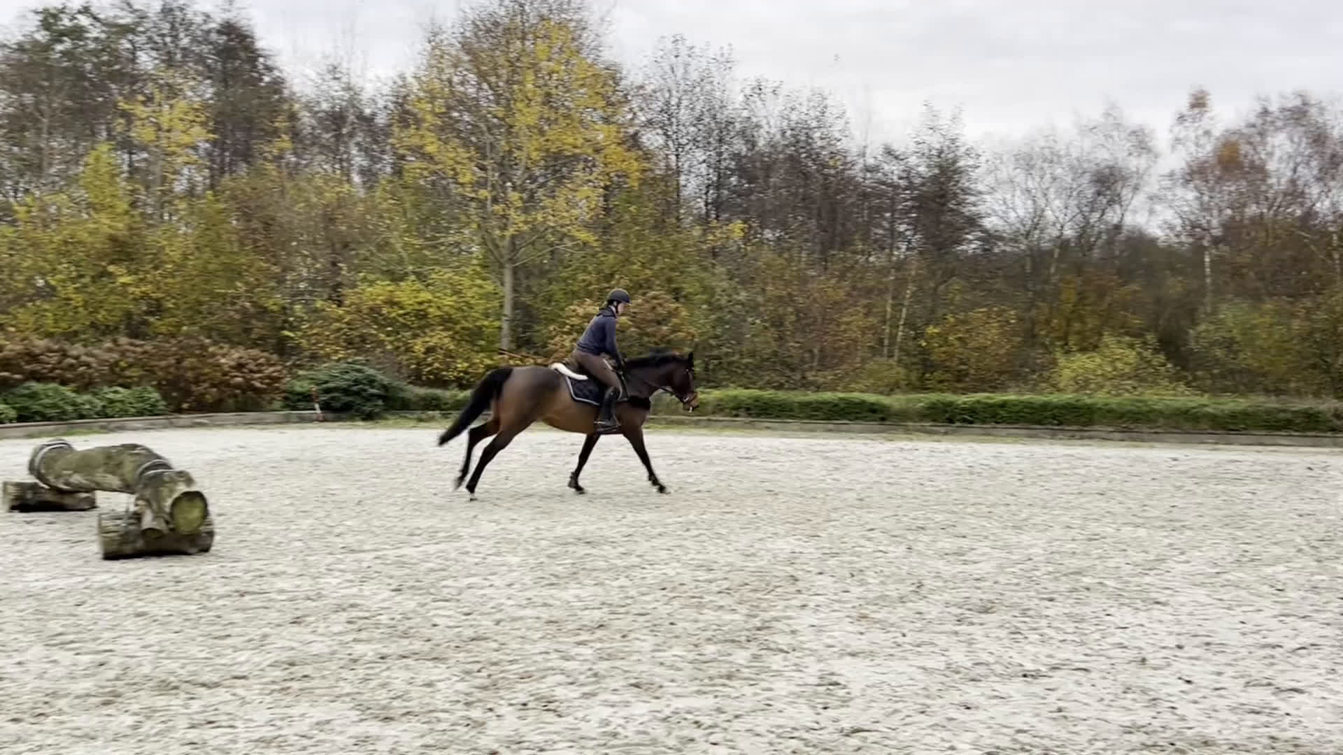 Fälttävlan hästar till salu: Lovande unghäst i Vagnhärad - Video 1