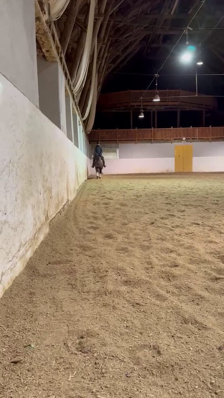 Allround hästar till salu: Maxad c-ponny  - Video 3