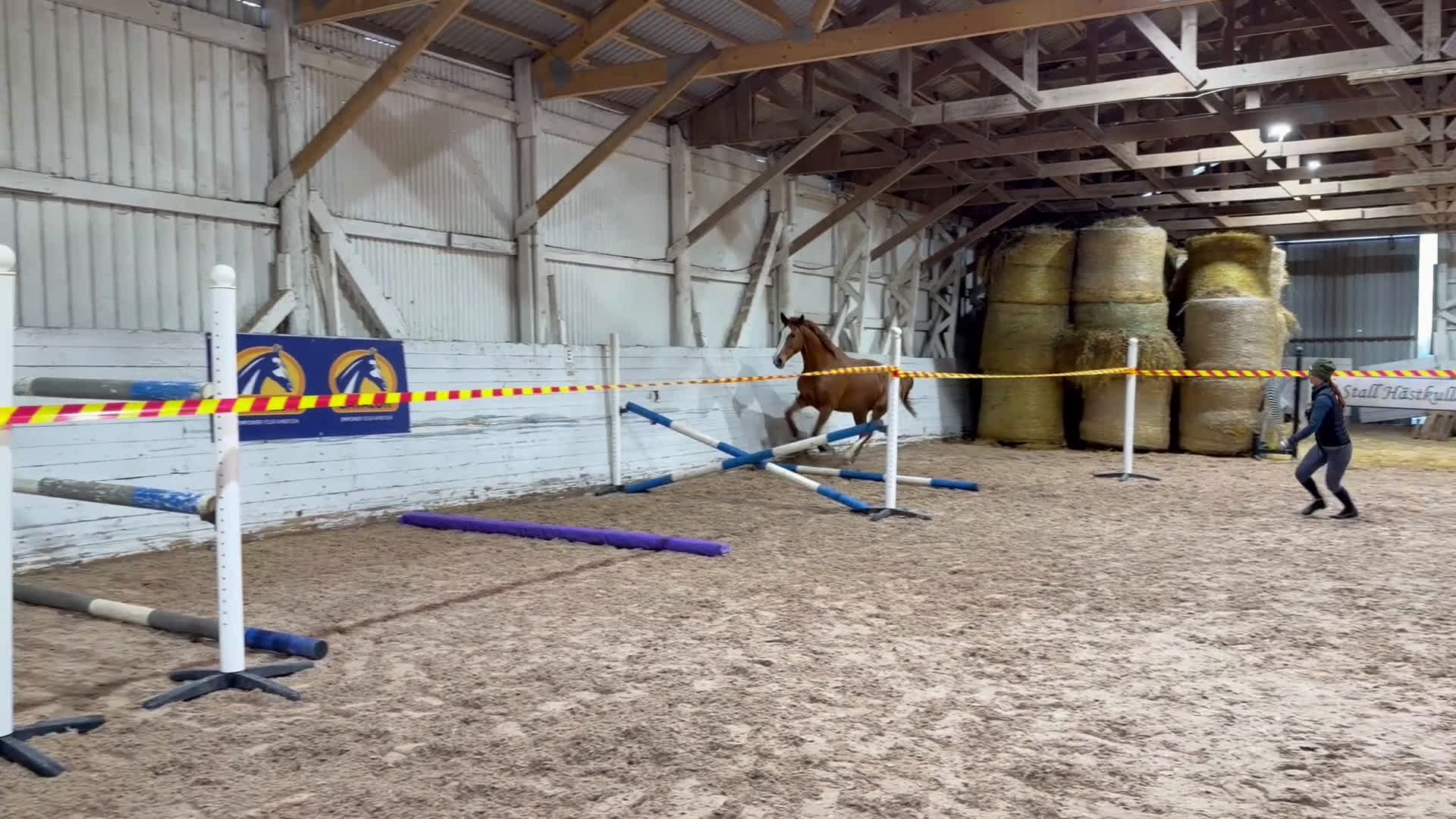 Hoppning hästar till salu: Unghäst för framtida sport och avel i Åtvidaberg - Video 1