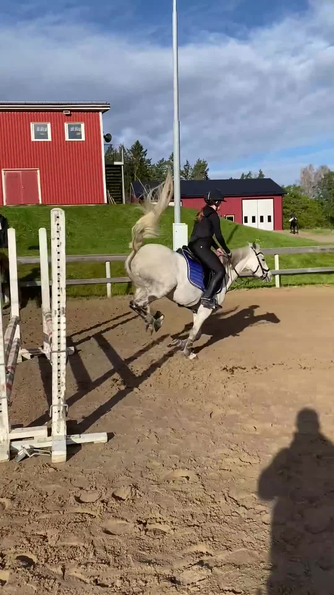 Allround hästar till salu: Snällt C-ponnysto - Video 4