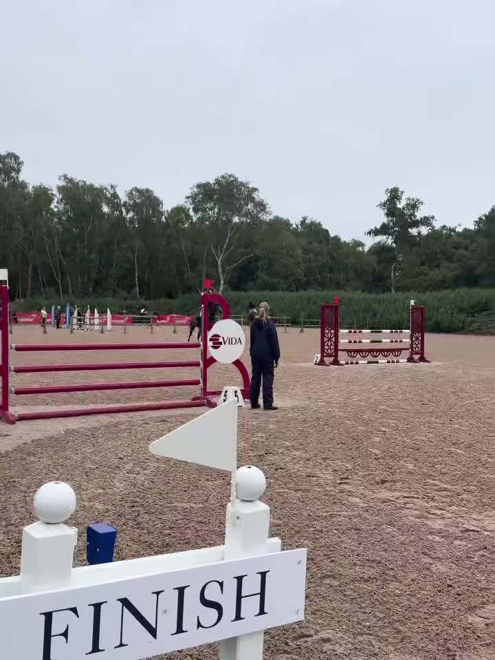Hoppning hästar till salu: Lovande 6-årigt sto med toppstam i Blentarp - Video 1