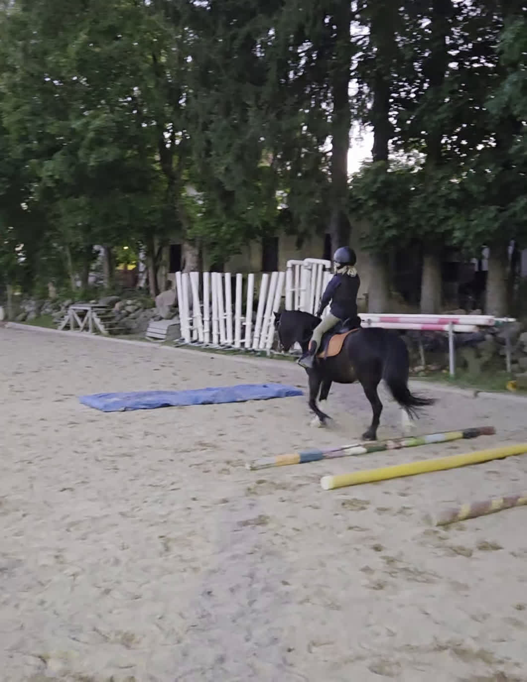 Allround hästar till salu: Allsidig barnponny - Video 5