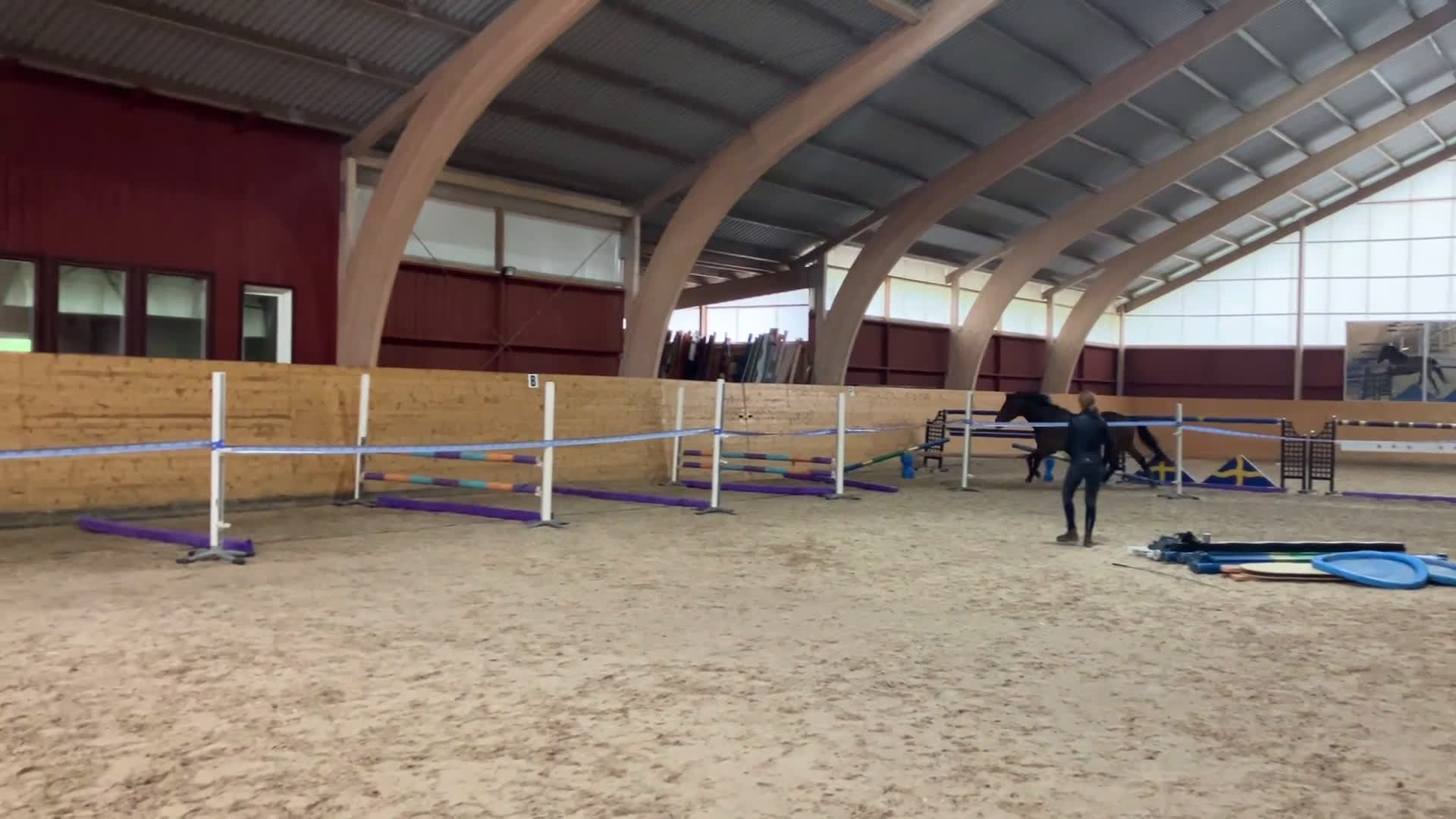 Dressyr hästar till salu: Sto med massor av kapacitet - Video 1