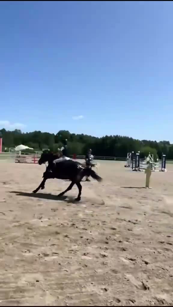 Allround hästar till salu: ❤️ Talangfull maxad C-ponny med stor kapacitet ❤️ - Video 2