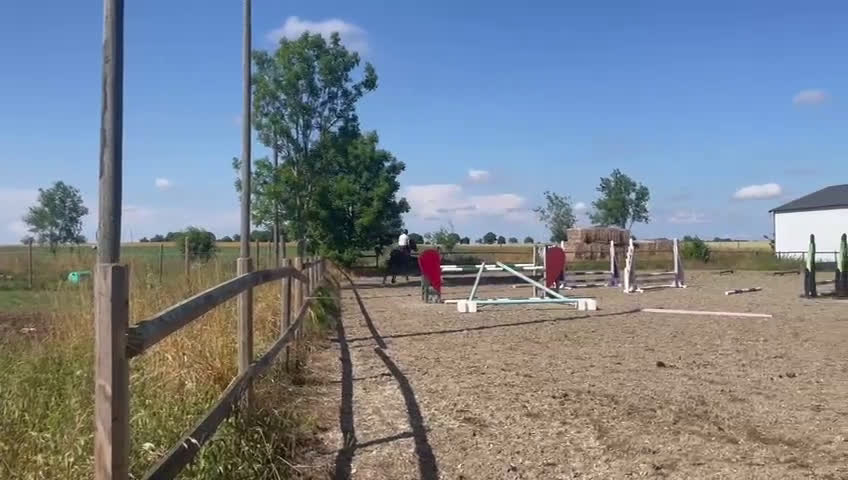 Dressyr hästar till salu: Elegant 4-årig valack e. Freestyle i Listerby - Video 1