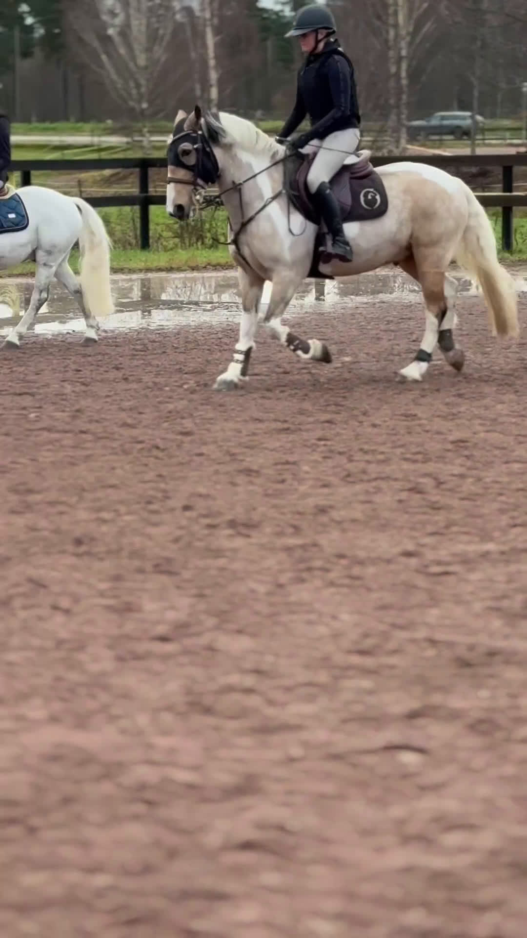 Hoppning hästar till salu: Snäll c-ponny söker nytt hem💞 i Vikarbyn - Video 1