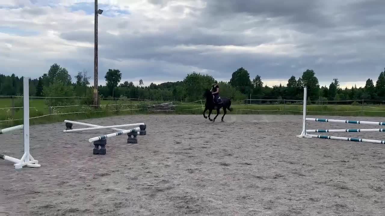 Hoppning hästar till salu: Flott sto med toppstam! - Video 1