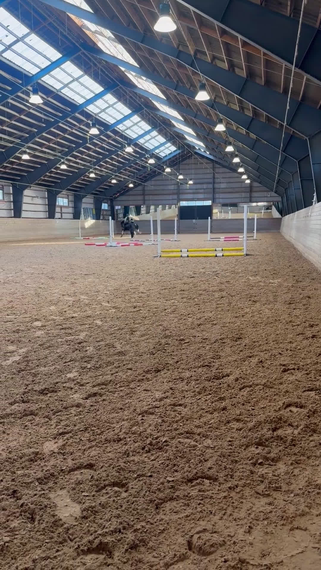 Allround hästar till salu: Världens charmigaste energiknippe - Video 3