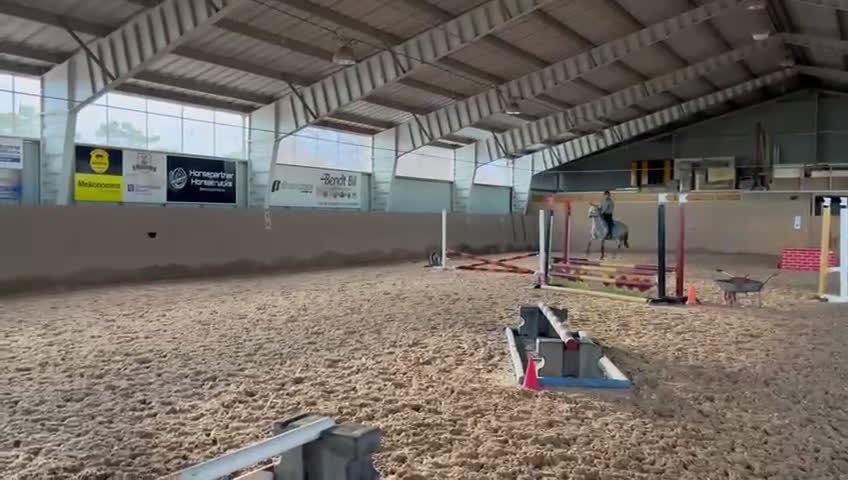 Hoppning hästar till salu: Sto med stor potential  - Video 4