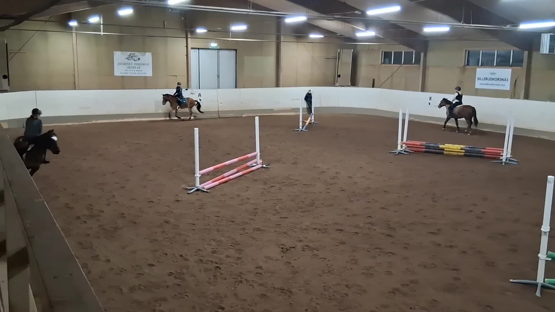 Allround hästar till salu: För den lilla tuffare ryttaren - Video 3