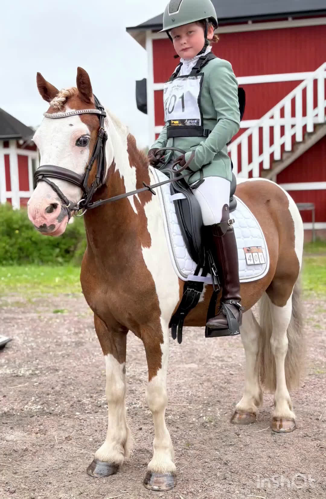 Hoppning hästar till salu: Allsidig b-ponny till rätt ryttare - Video 3