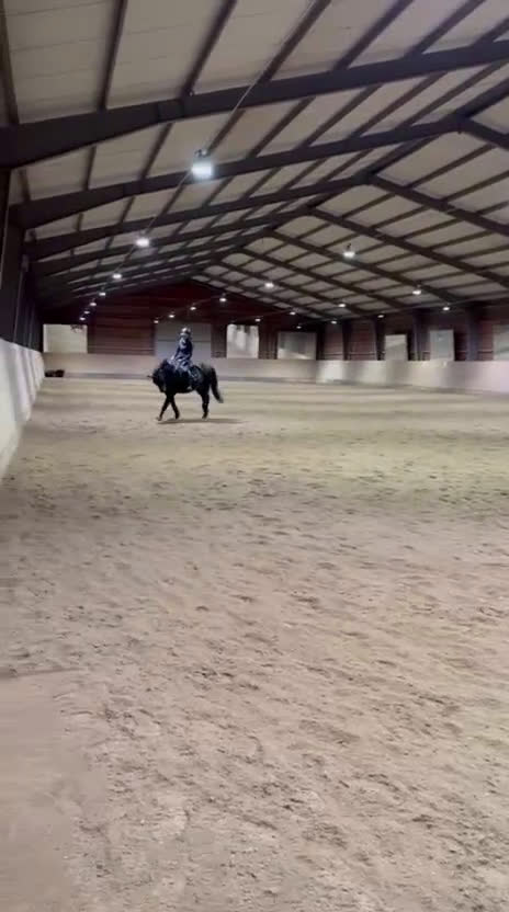 Allround hästar till salu: Härlig allroundponny i Sparreholm - Video 3