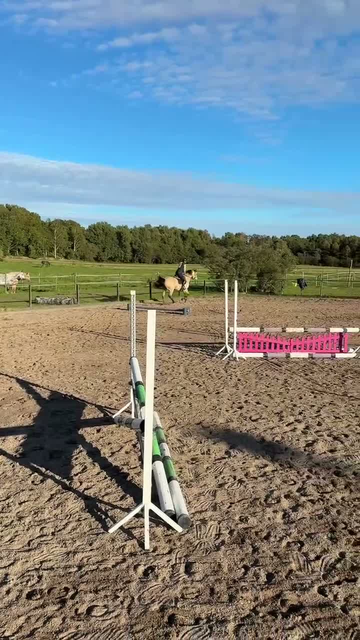 Allround hästar till salu: Läcker ponny som drar blickarna till sig! - Video 3