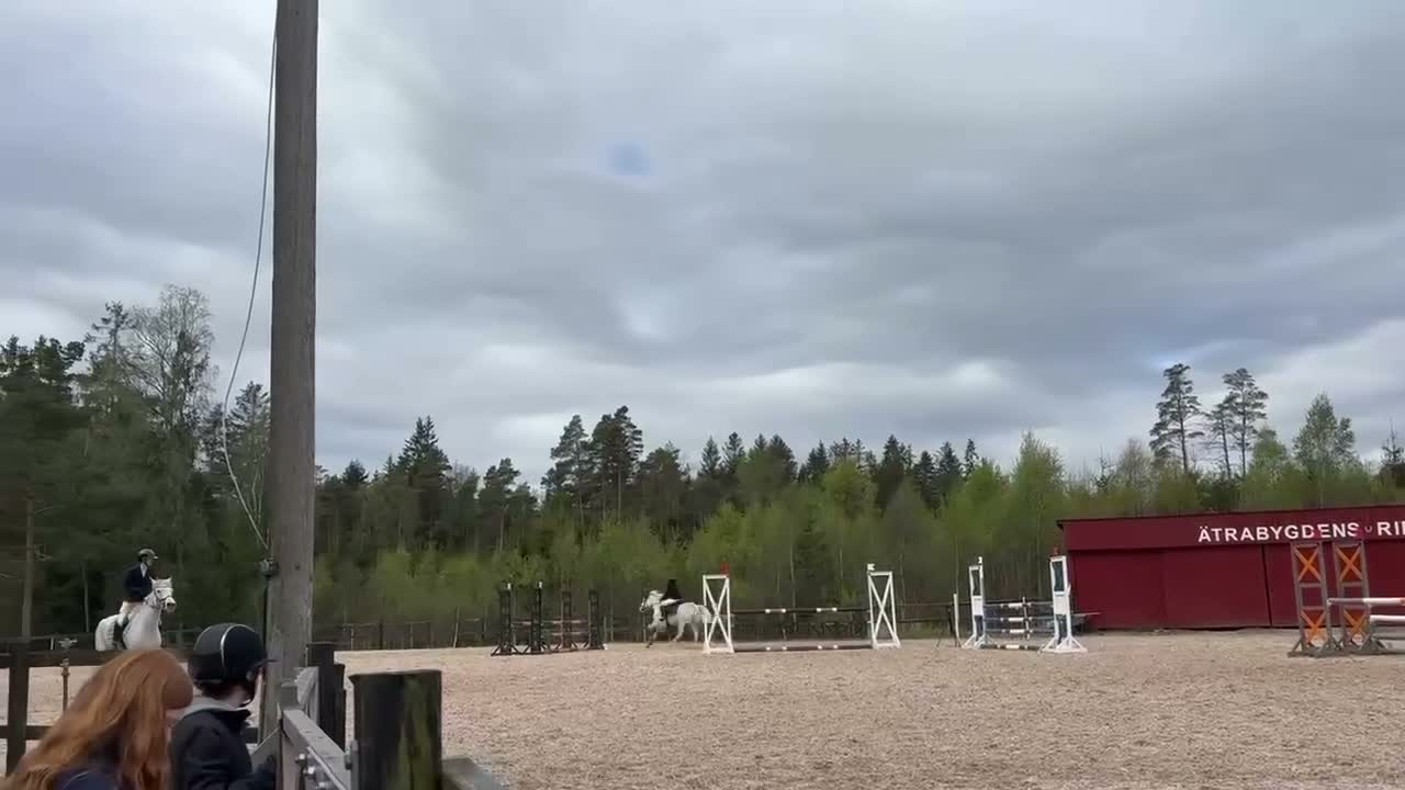 Hoppning hästar till salu: D ponny,  eu I Love You Melody  - Video 1