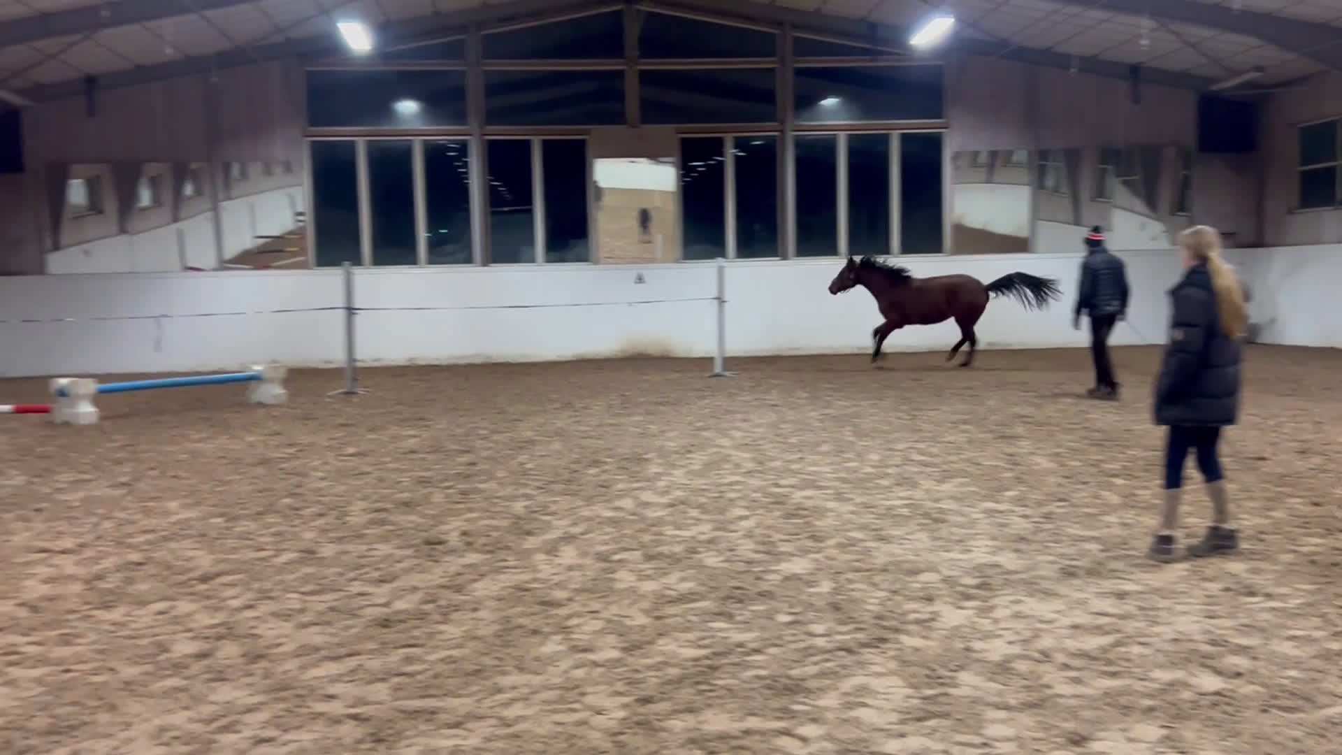 Hoppning hästar till salu: Framtidslöfte till förmånligt pris  i Varberg - Video 1