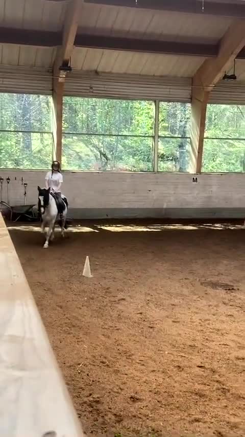 Allround hästar sökes: Söker medryttarhäst i stockholm! 💕 - Video 3
