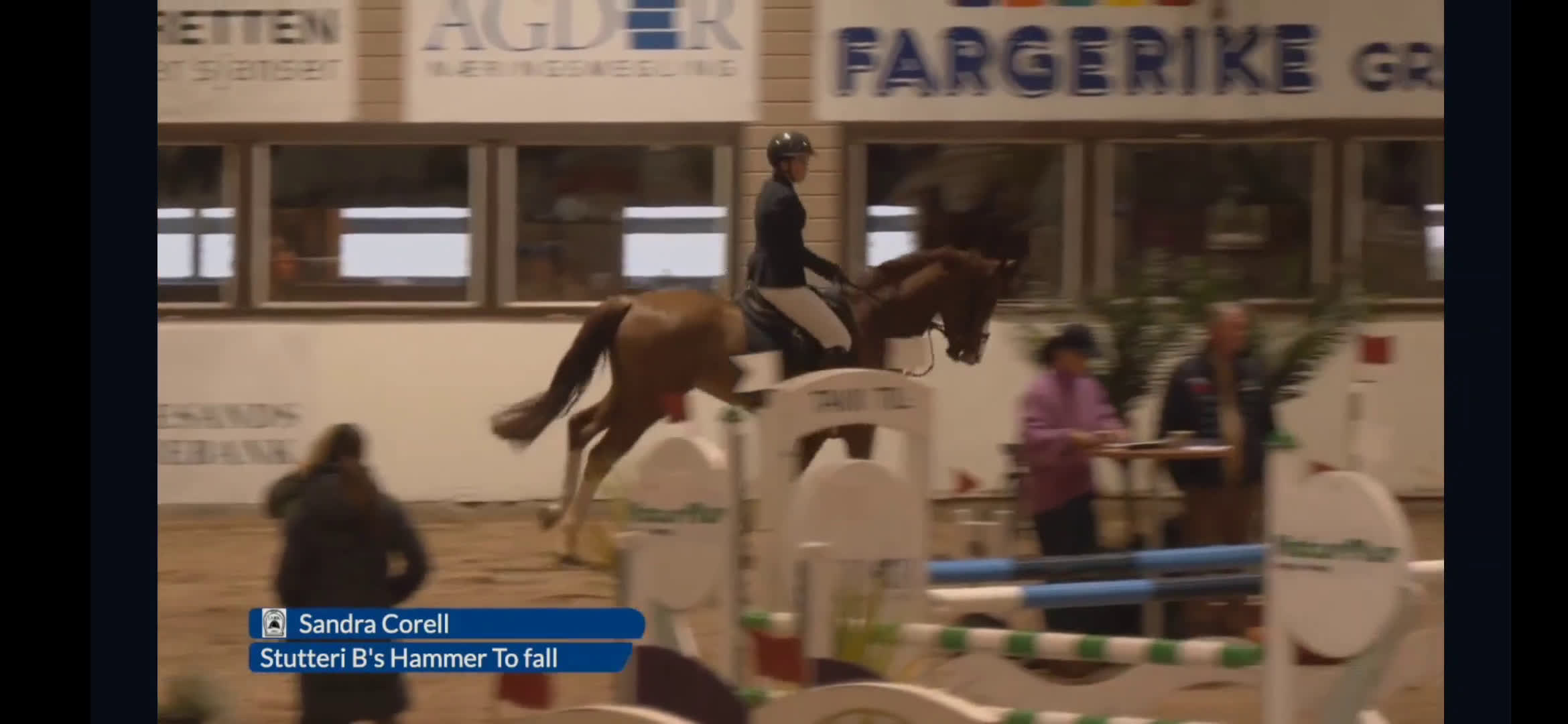 Avelshästar hästar till salu: Unghest for de aller største klassene. i Sørum - Video 1