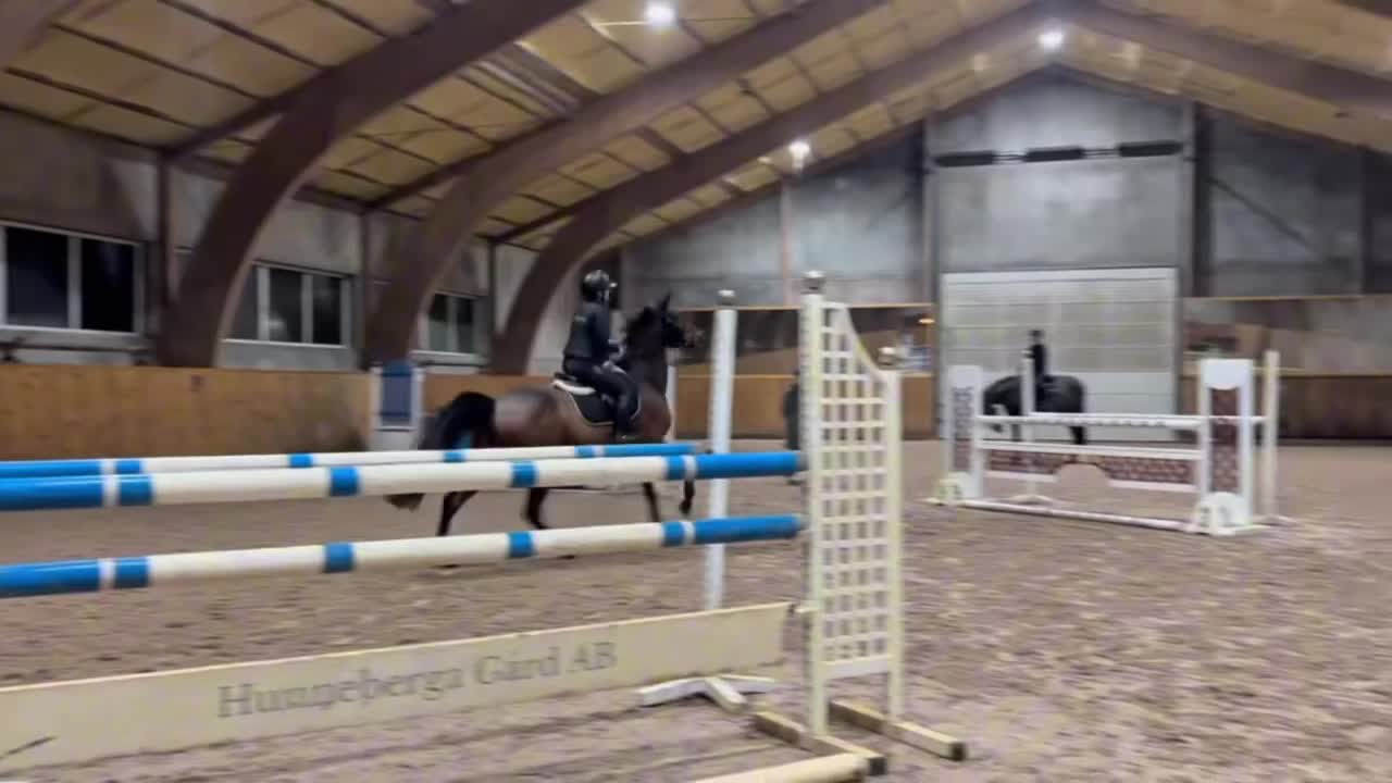  hästservice finnes: Samarbete sökes till hoppryttare  i Sjöbo - Video 1