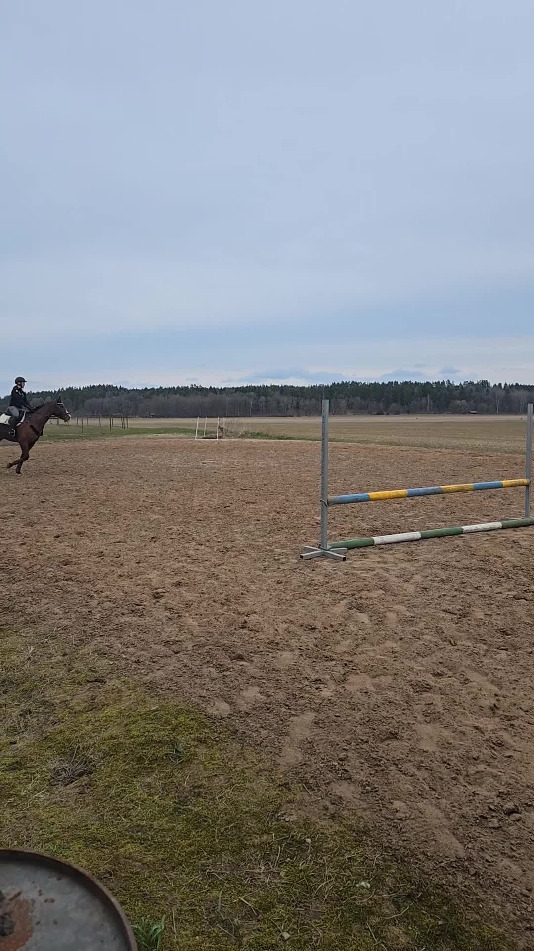 Allround hästar till salu: Fantastisk hobby häst  - Video 1