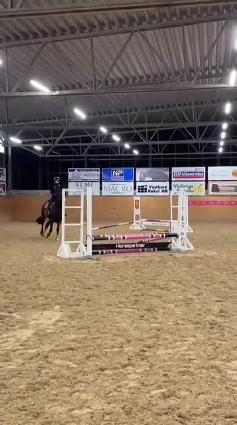 Hoppning hästar till salu: Trevlig 4-åring e. Mr Vain  i Laholm - Video 1