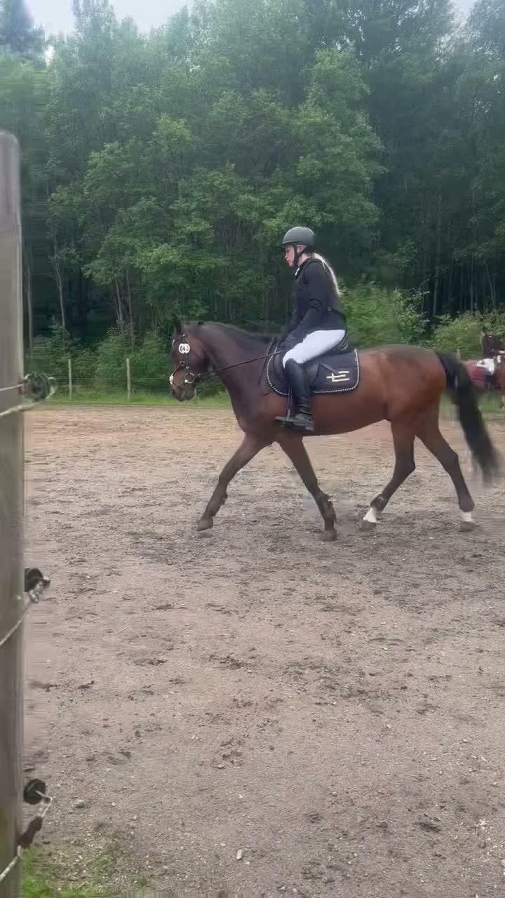 Allround hästar till salu: Maxad C-ponny Hoppning  - Video 1