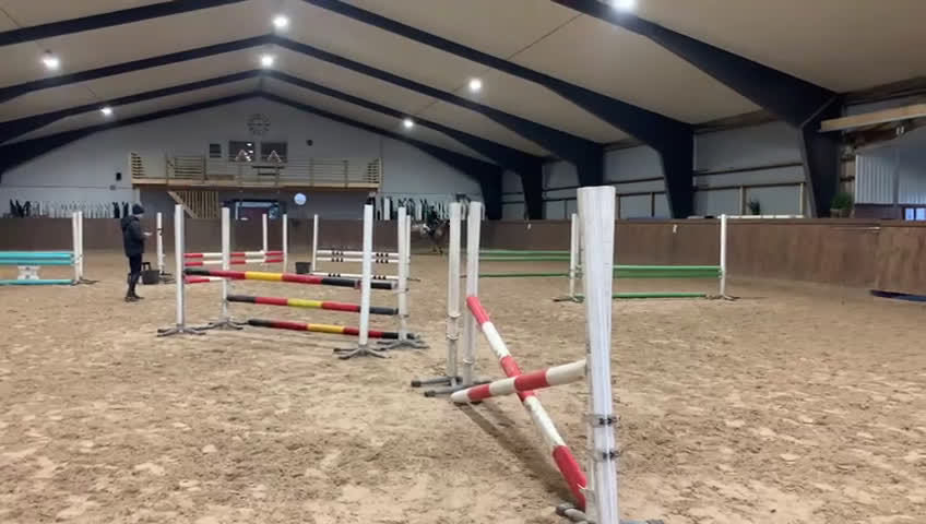 Allround hästar till salu: Trevlig maxad D-ponny! i Laholm - Video 4