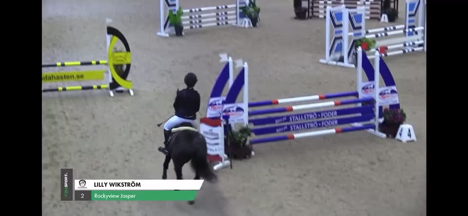 Hoppning hästar till salu: Fantastisk tävlingsponny till salu  i Älvkarleby - Video 1