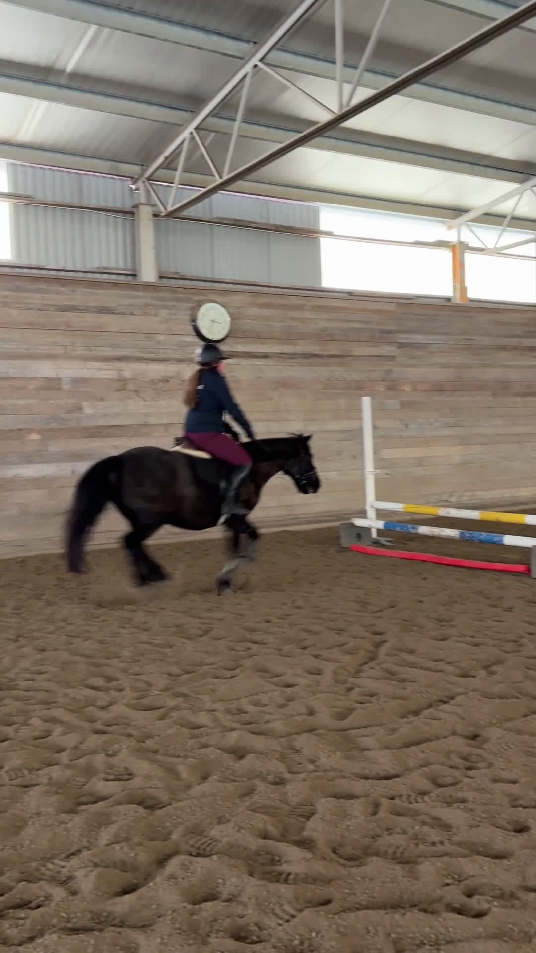 Allround hästar till salu: Snygg allroundponny - Video 2