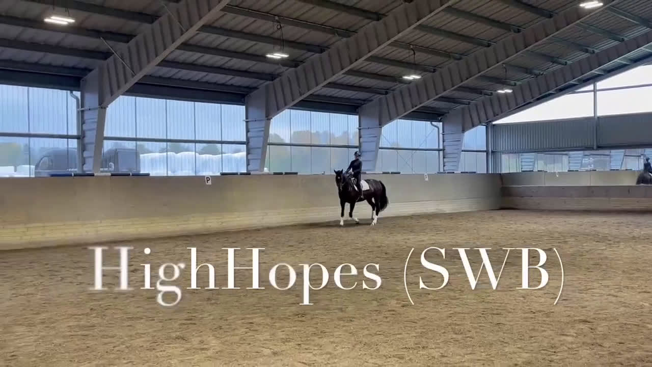 Dressyr hästar till salu: Sto med bra ridbarhet i Edsvalla - Video 2