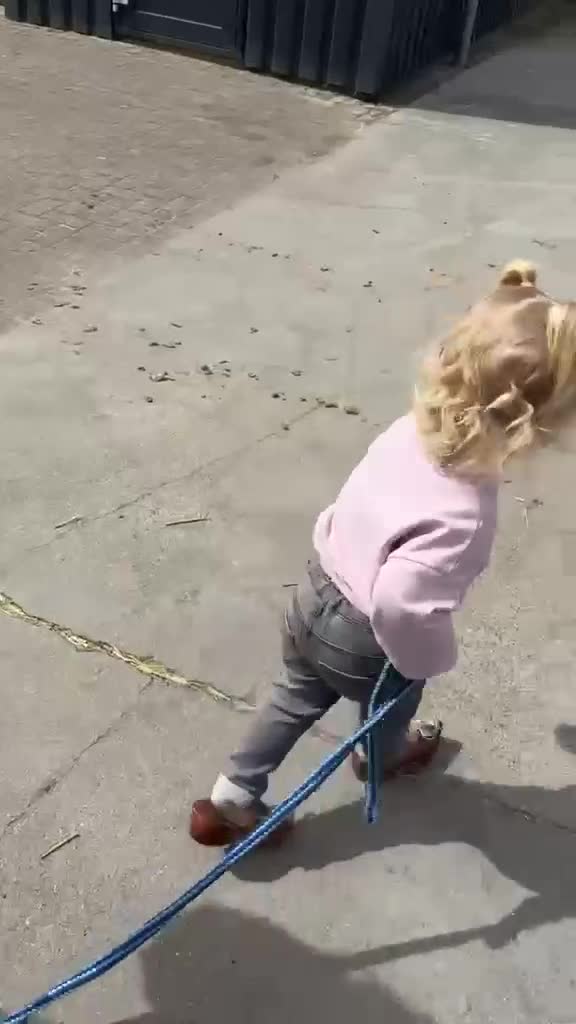 Allround hästar till salu: Unik allround inkörd pony - Video 1