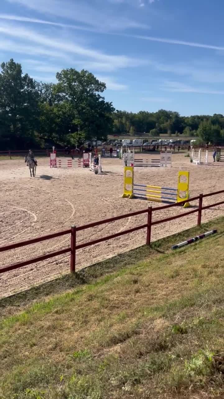 Allround hästar till salu: Okomplicerad valack - Video 2