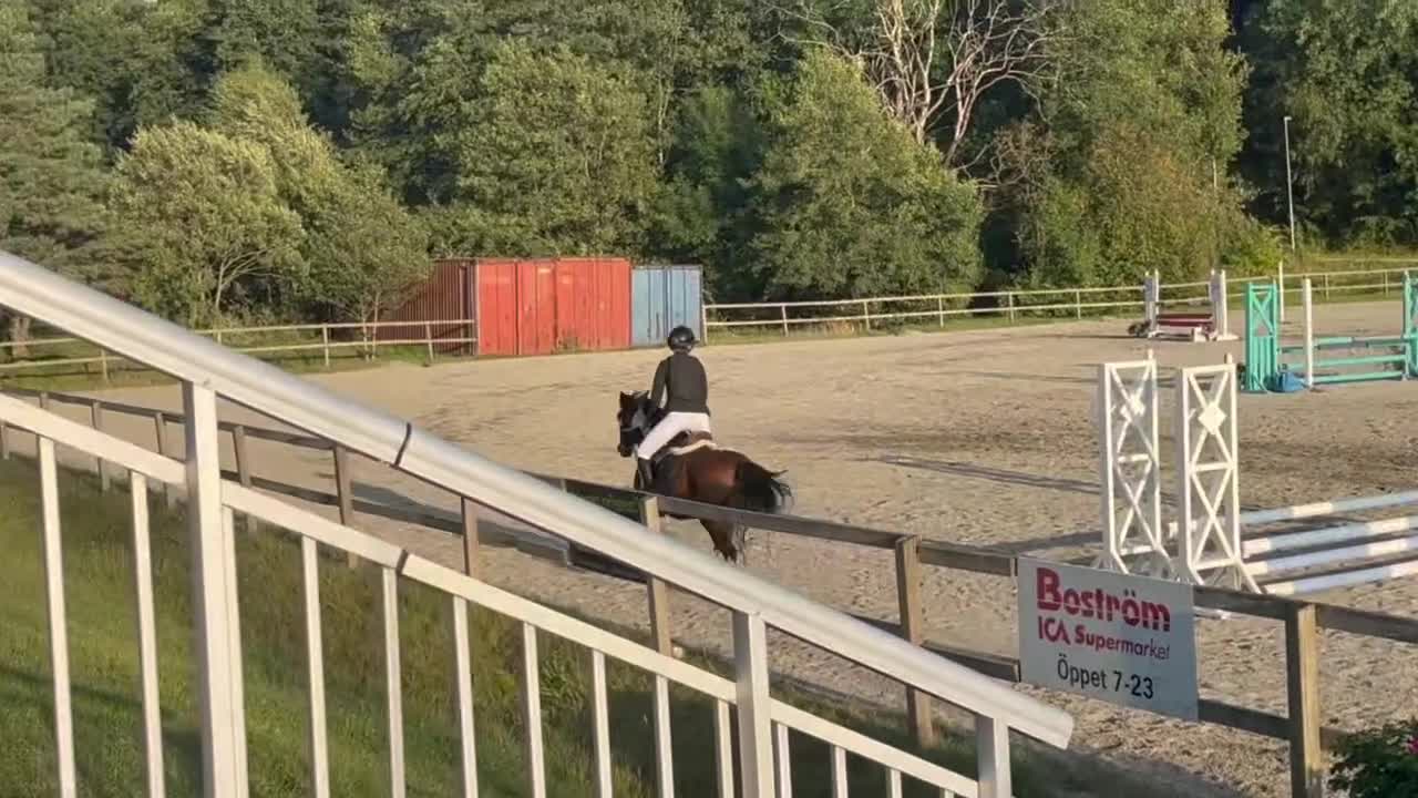 Hoppning hästar till salu: Tävlingsponny med hjärta av guld 💛  - Video 4